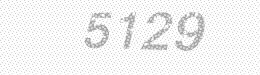 Visual security code — type the characters shown in the image